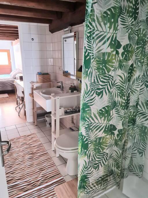 Duplex Atypique Loft 6 Lyon