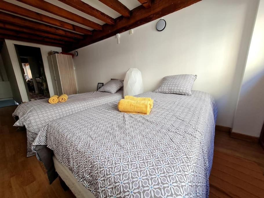Duplex Atypique Loft 6 Appartement